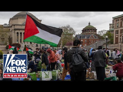 ‘The Five’ reacts to chaotic anti-Israel protests [Video]
