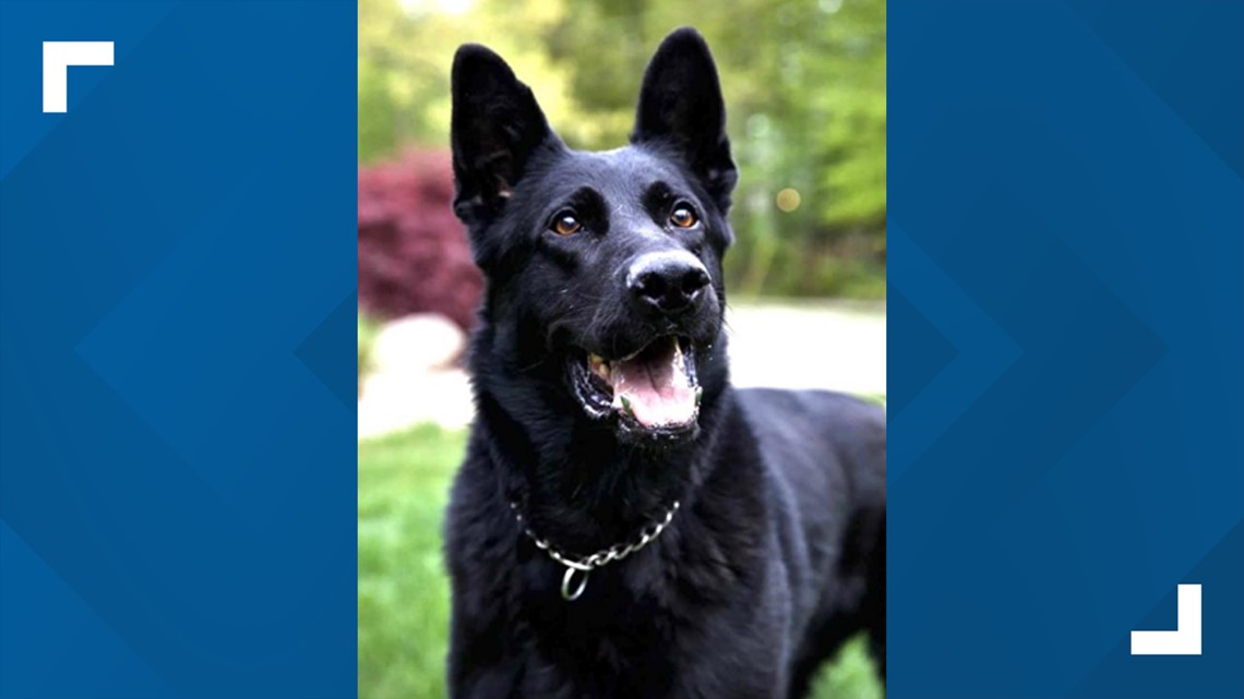 Wyoming police announce death of former K9 [Video]
