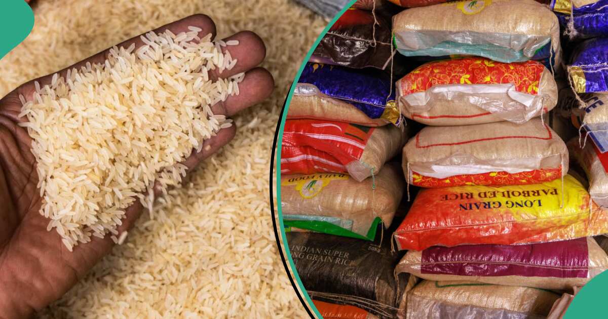 Nigerians React as Dealers Crash Rice Price, Survey Shows Cheapest Brands [Video]