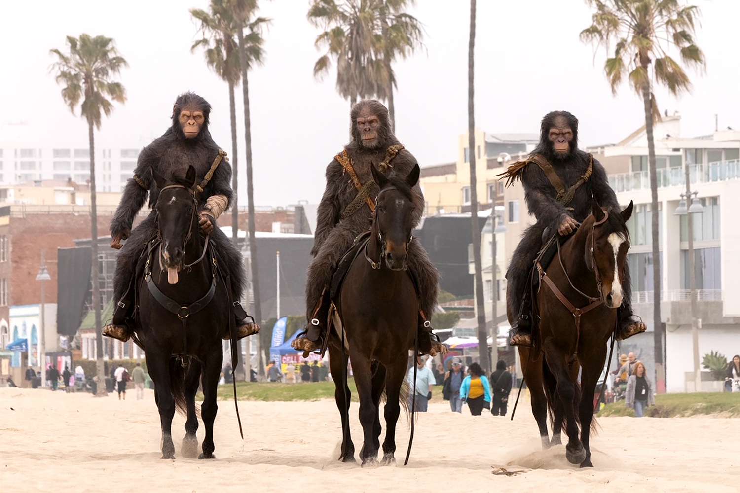 ‘Planet of the Apes’ Characters Appear on Horseback in Venice Beach [Video]