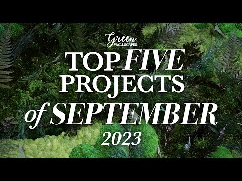 September 2023’s Top 5 Moss Wall Creations | Vibrant and Innovative Eco-Designs- ALL ABOUT COLOR! [Video]