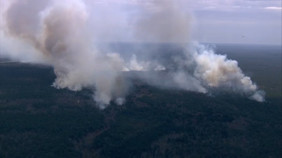 100 acres of NJs Wharton State forest burns in wildfire  NBC10 Philadelphia [Video]
