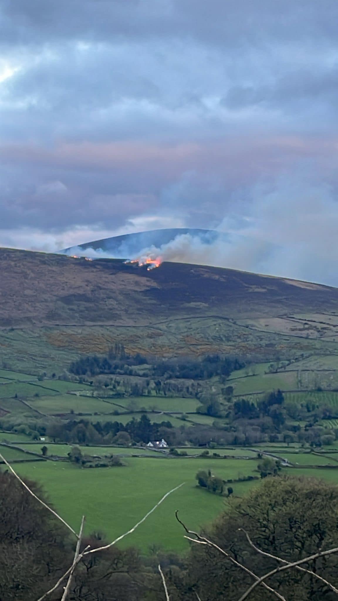 DAFM to contact farmers after mountain fires in Carlow [Video]