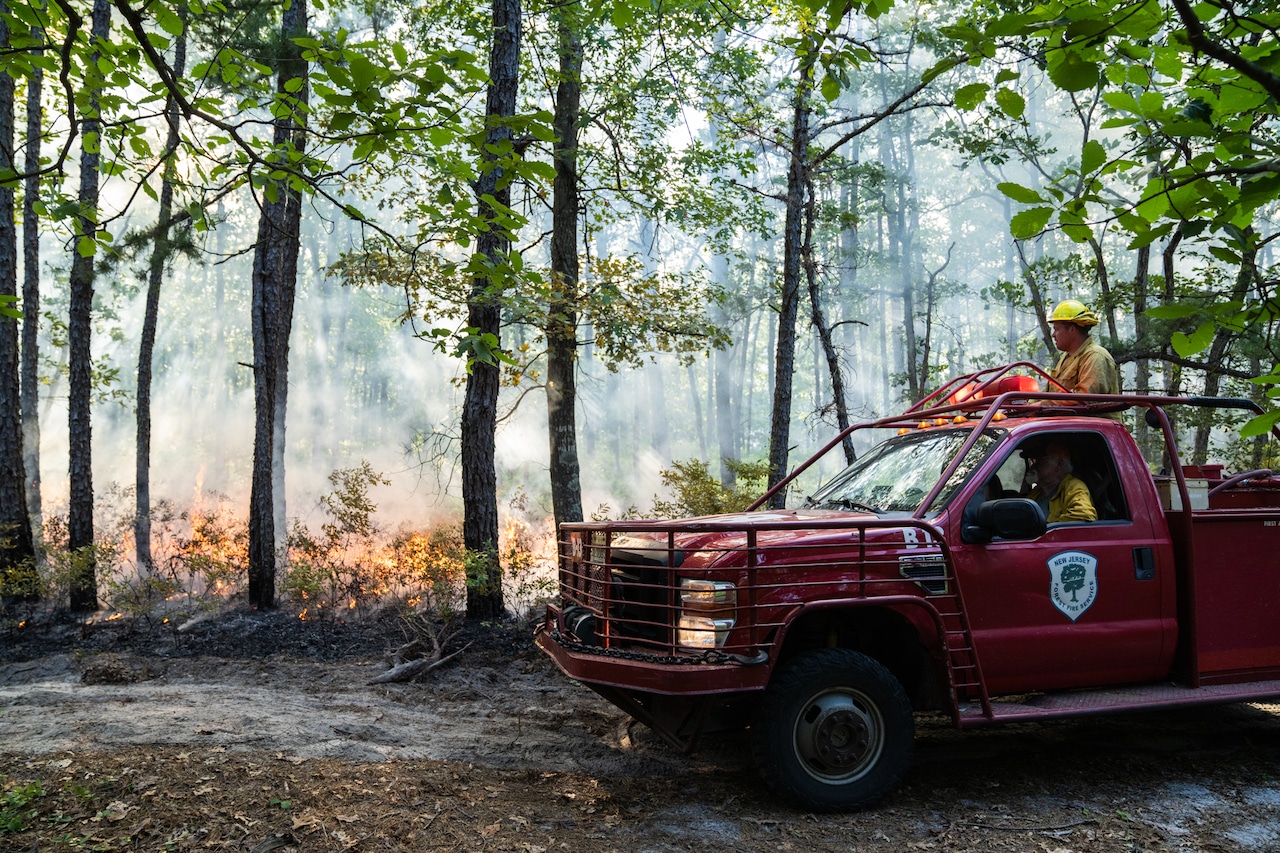 Wildfire burns through 100 acres in state forest across 2 N.J. counties [Video]