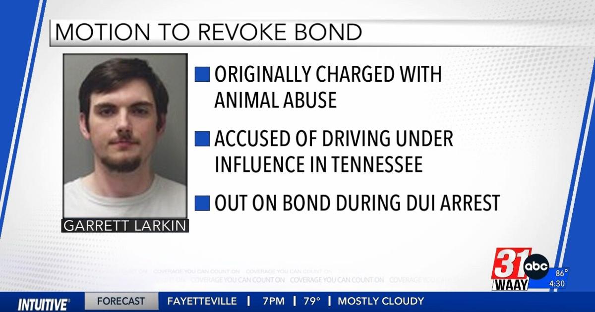 Motion filed to revoke bond of man accused of abusing a dog | Video