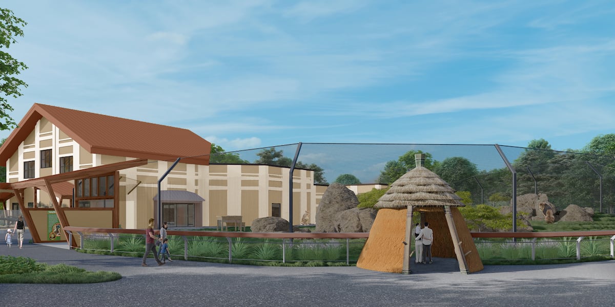 Long-awaited lion and meerkat exhibit at Great Plains Zoo to open this summer [Video]