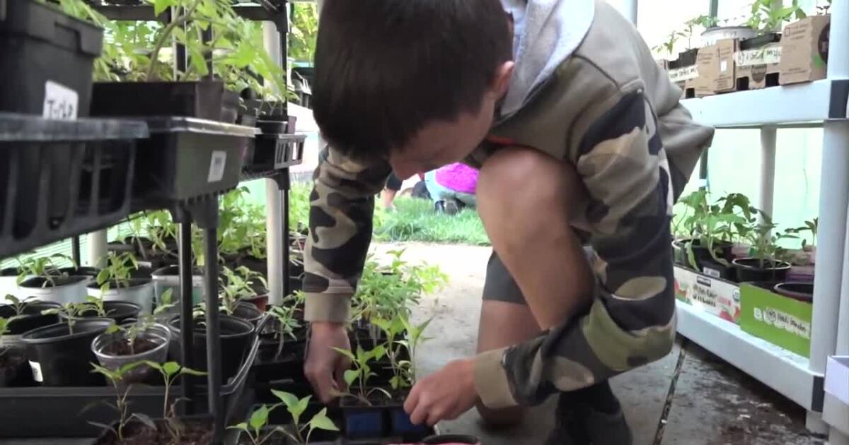 East Meadow Greenhouse Kids prep for annual sale [Video]