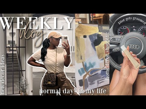 new home decor, taking life slow & Dior’s 2nd grooming | weekly vlog [Video]