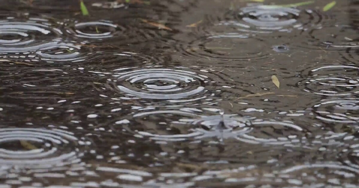 Active stretch of weather, when rain could be an issue [Video]