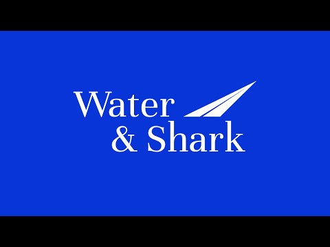 Water & Shark Unveils New Brand Identity at Times Square | Global Accounting & Legal Firm [Video]