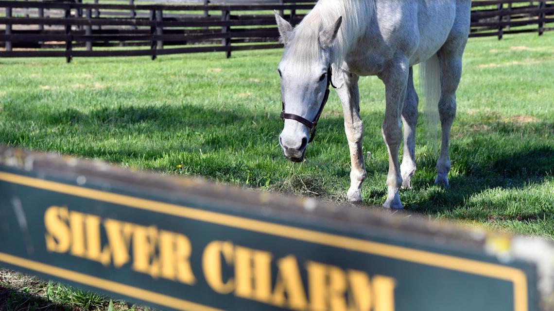 Oldest Derby-winning horse Silver Charm thriving in retirement [Video]