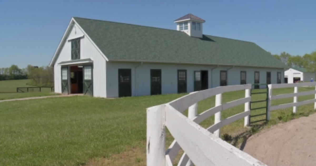 Lexington non-profit helps retired racehorses find their new calling [Video]