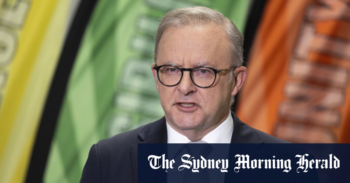Anthony Albanese concerned by online radicalisation threat [Video]