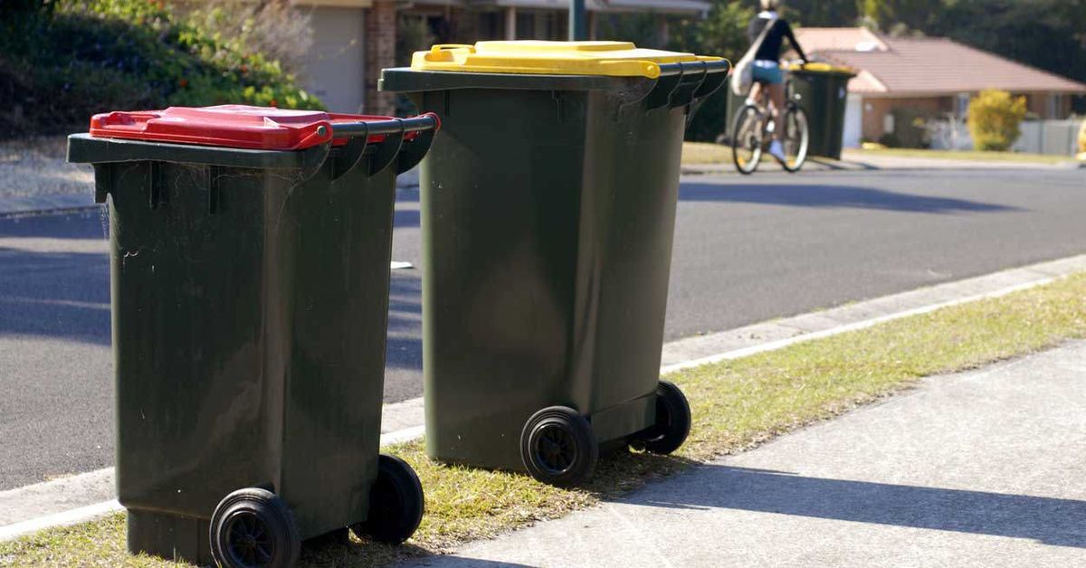 Should tenants have to scrub their wheelie bin? This New Zealand company thinks so [Video]