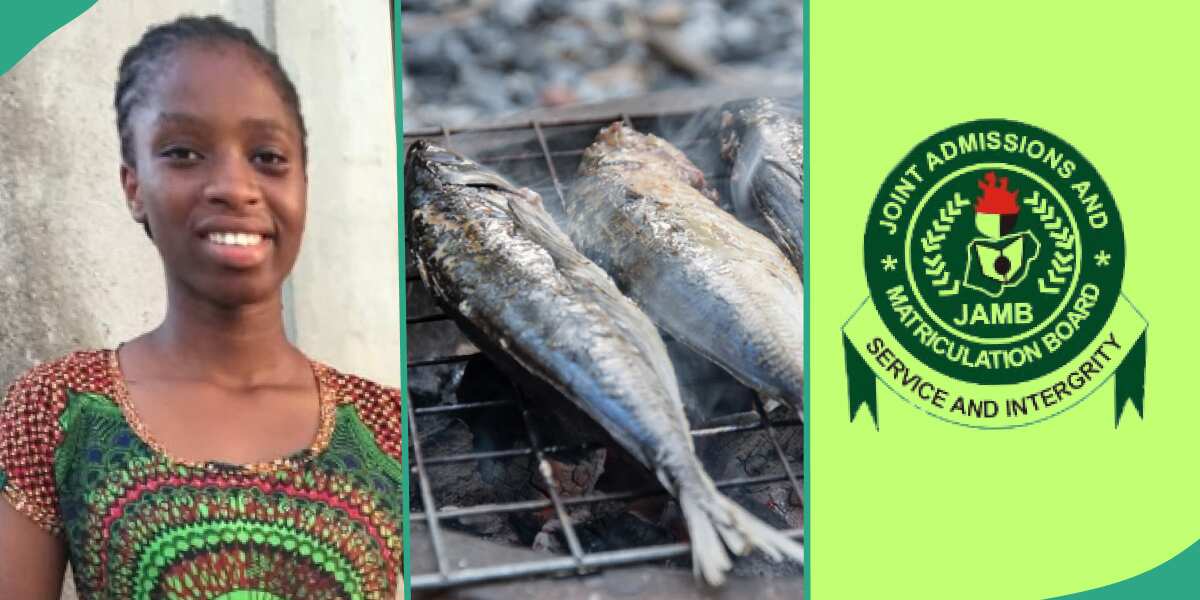 JAMB 2024: Fish Seller Writes UTME After Studying in the Market, Scores 224 [Video]