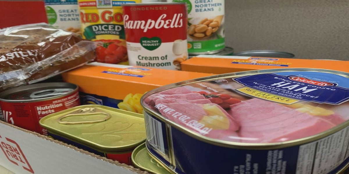 Food for fines: Library helps patrons, gives back [Video]