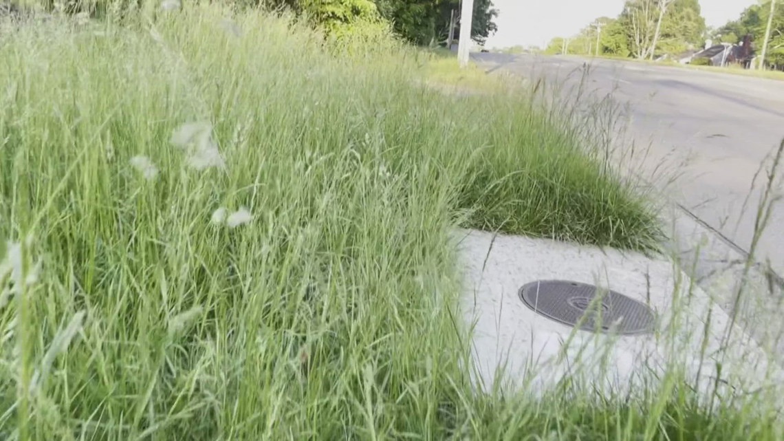 Avoid fines: Don’t let your grass grow above this height in Greensboro [Video]