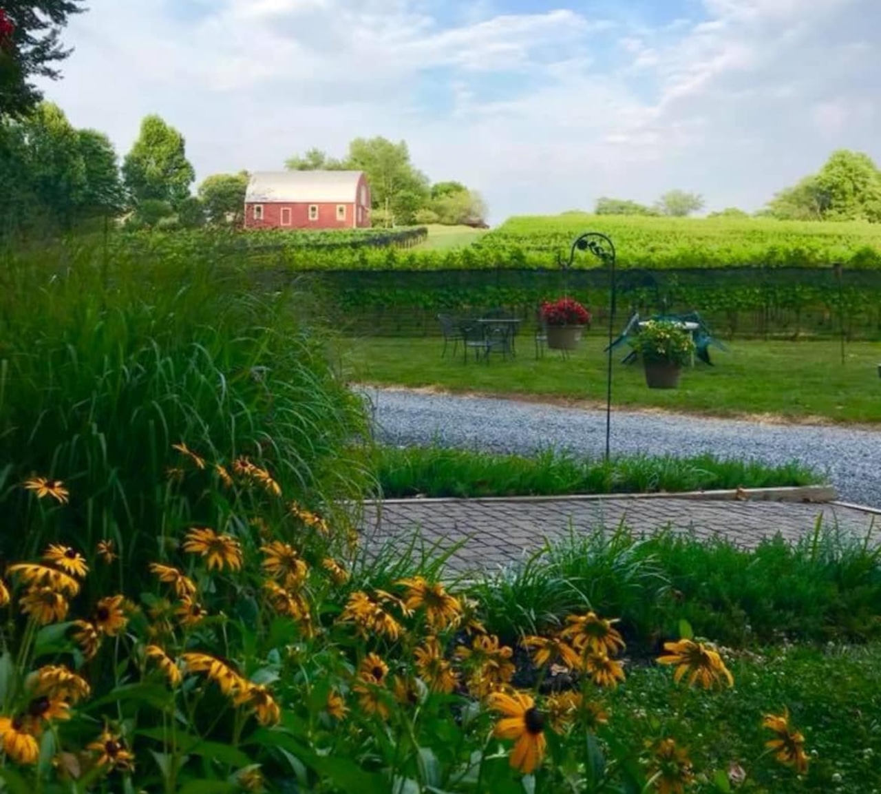Md. winery owners enjoy sharing the craft, story and passion of their business [Video]