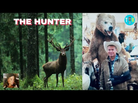 Suzanne Morphew: Was She Hunted? A Hard Look at What We Know – The Interview Room [Video]