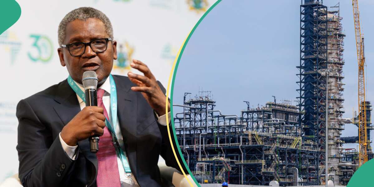 FG Speaks on Fixing Prices for Dangote Refinery As Nigerians Anticipate Cheaper Fuel [Video]