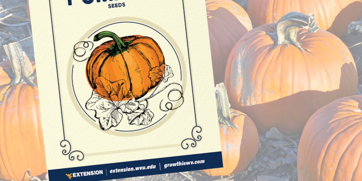 Free pumpkin seeds available from WVU Extension [Video]