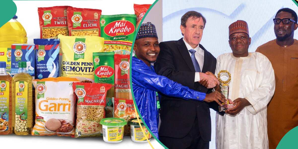 FMN Golden Penny Foods Rewards Top Performing Dealers with N60 Million [Video]