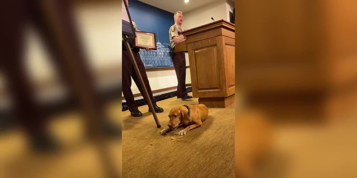 MN State Patrol K9 Retirement Party [Video]