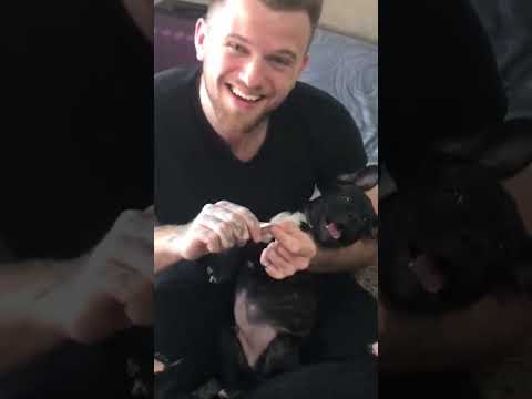Puppy Doesn’t Like Getting His Nails Trimmed [Video]