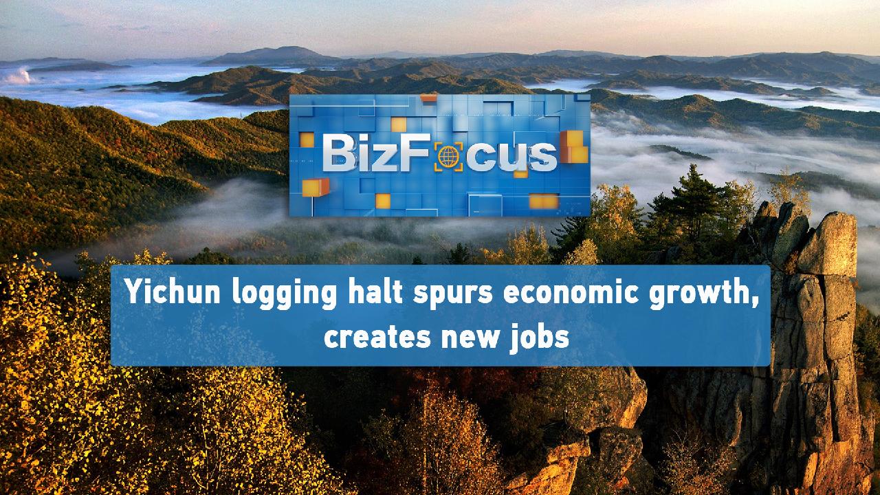 BizFocus Ep.91: Yichun logging halt spurs economic growth [Video]