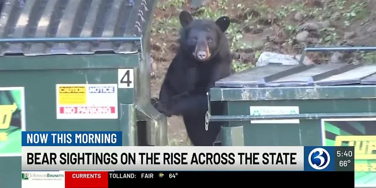 Bear population, encounters on the rise [Video]