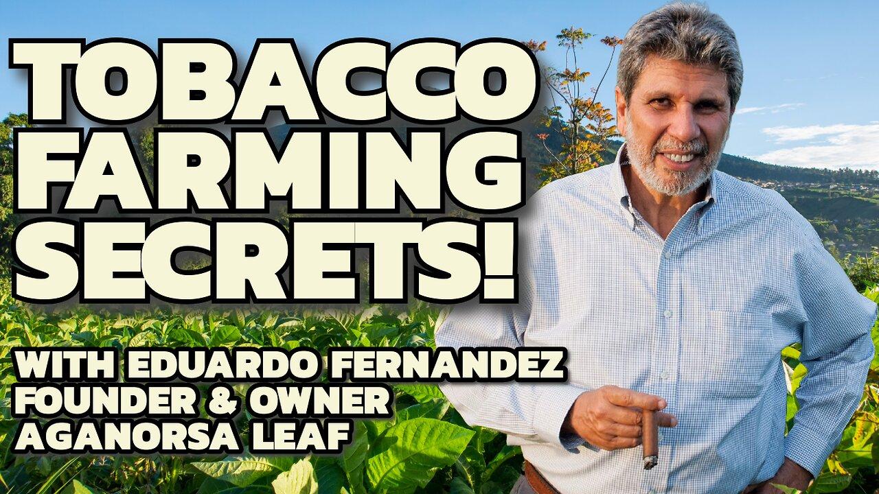Tobacco Farming and Cigar Secrets with Eduardo [Video]