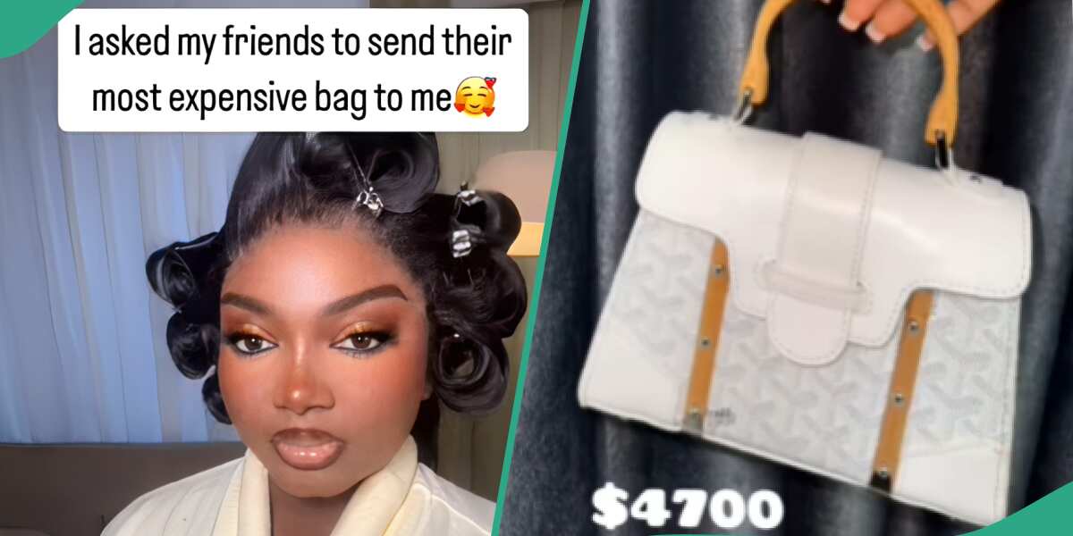 Papaya Ex’s Friends Display Classy Designer Bags Worth N190m, Netizens React: “They Are All Vanity” [Video]