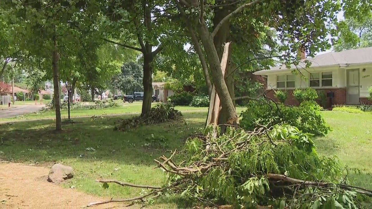 Insurance expert has advice for those suffering storm damage [Video]