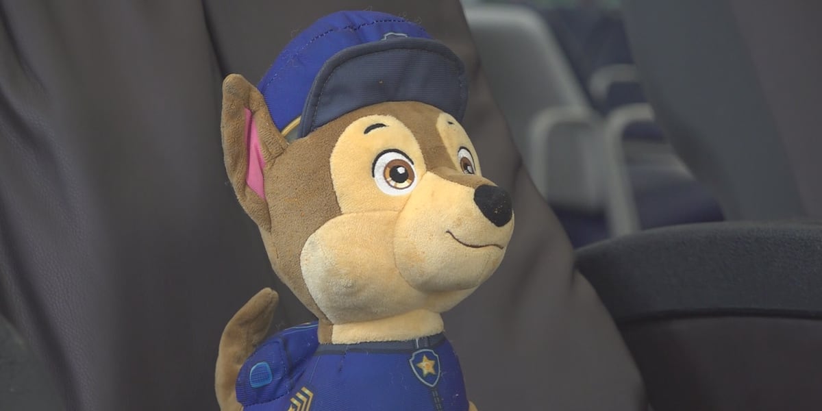 After more than a month, Chase the lost stuffed pup is still protecting a Maine airport [Video]