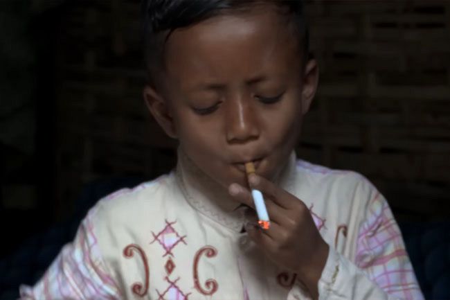 Tobacco industry leaving Indonesia up in smoke [Video]
