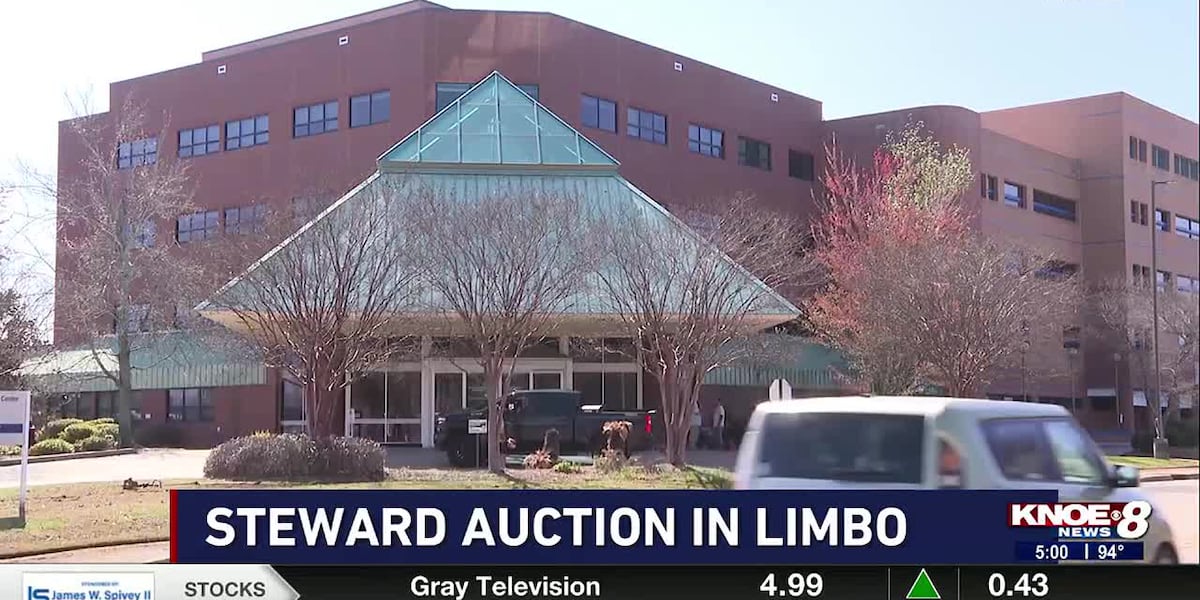 Steward auction in limbo [Video]