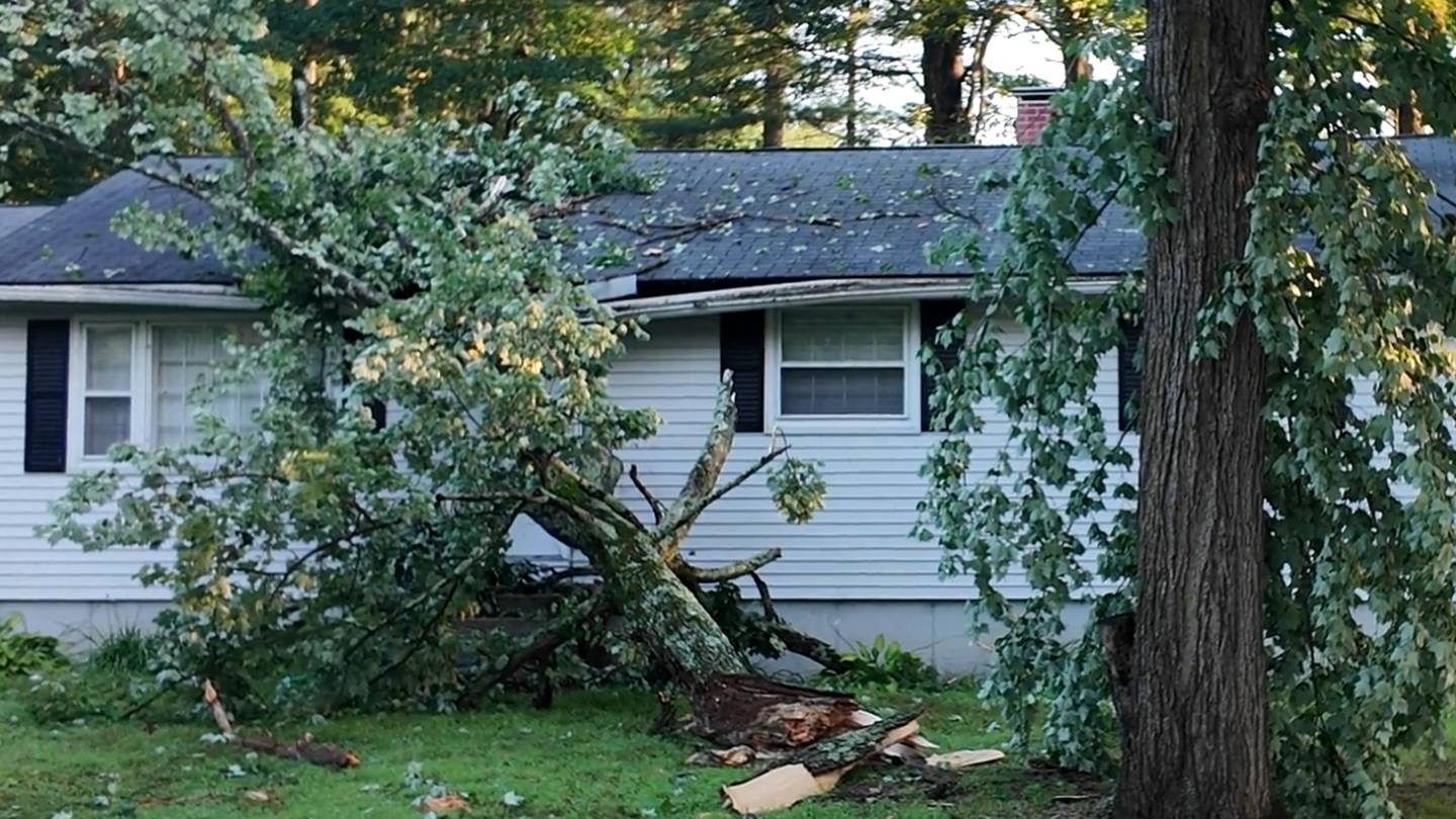 Microburst toppled 150 trees, damaged cars and homes in New Hampshire, NWS says  Boston 25 News [Video]