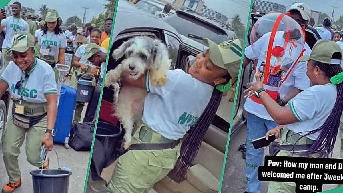 Female Corper Welcomed by Her Man and Dog in Grand Style after Leaving NYSC Orientation Camp [Video]