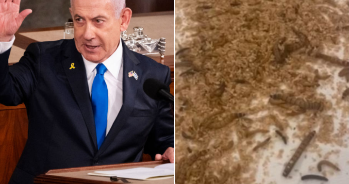 Protesters scatter maggots, crickets at Watergate Hotel amid Netanyahu visit – National [Video]