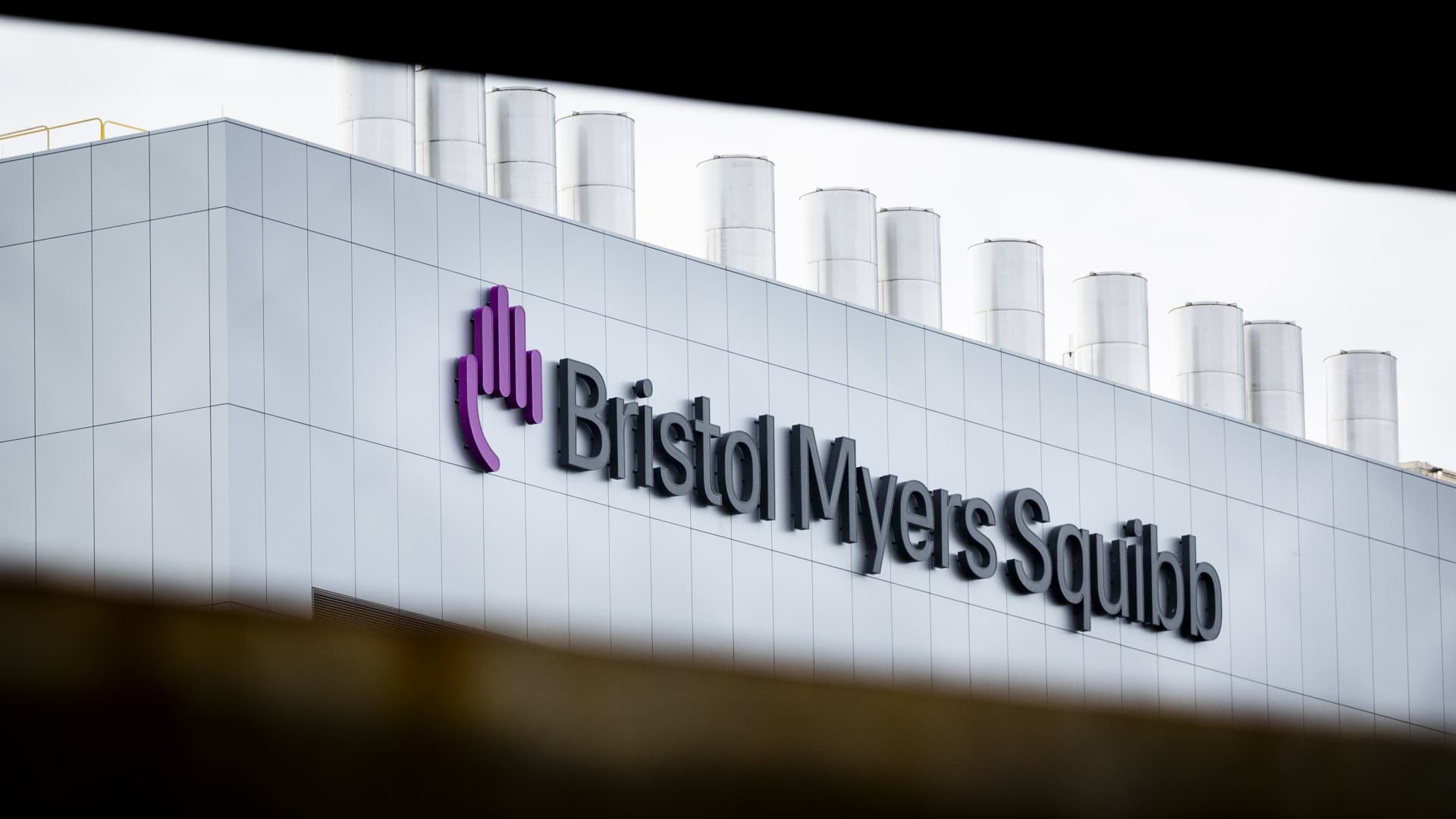 Bristol Myers Squibb (BMY) earnings Q2 2024 [Video]