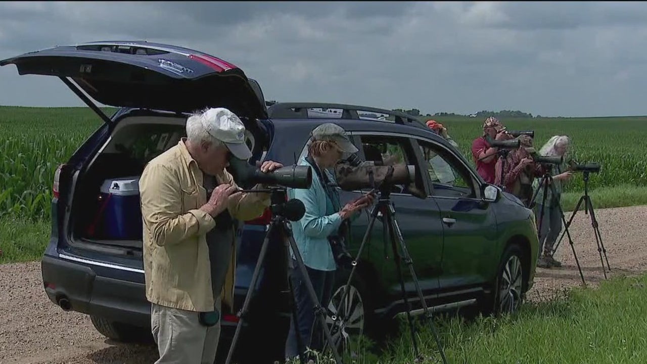 Top Minnesota birding expert to retire [Video]