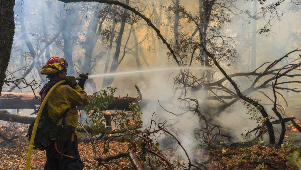 What can be done to control wildfires? [Video]