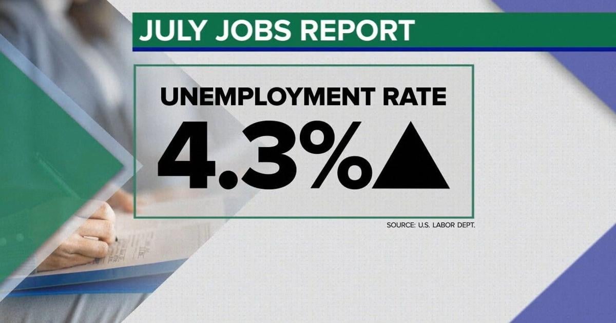 US economy added just 114,000 jobs last month and unemployment rose to 4.3% | News [Video]