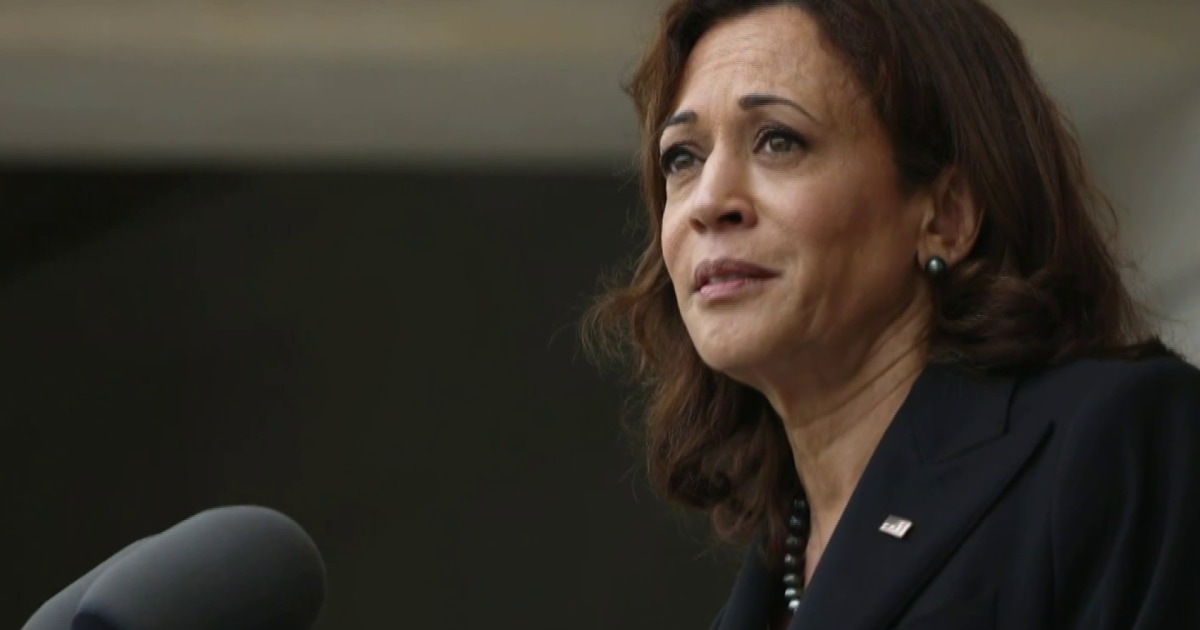 Democrats rally around Harris as momentum grows [Video]