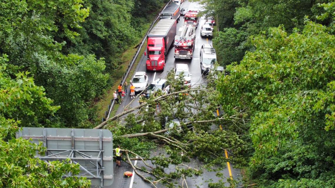 2 people injured by fallen tree in Suffolk [Video]