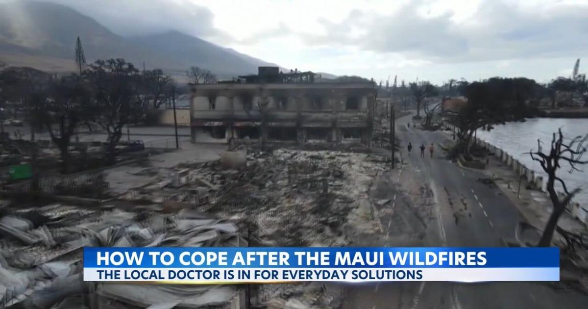 The Local Doctor is in for Everyday Solutions: Lahaina Fire – One Year Out | Video