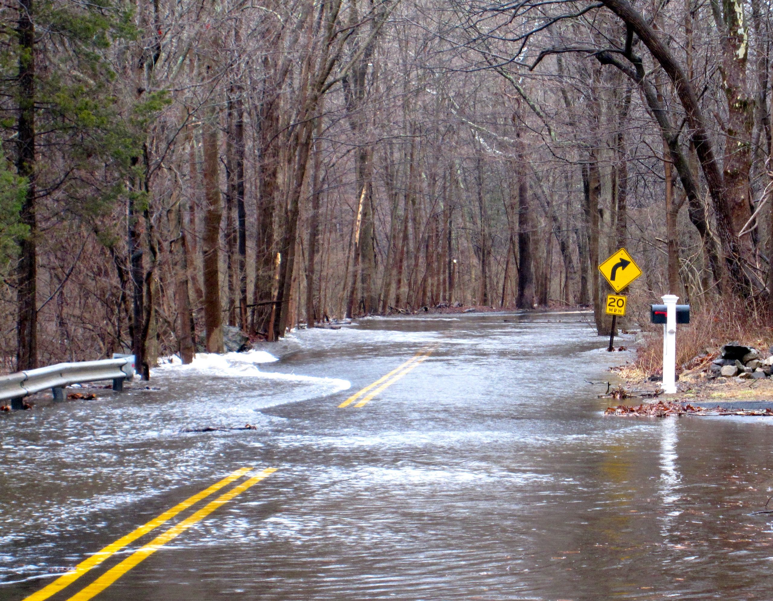 Video Shows Rescue of Man, Dog During Catastrophic Connecticut Floods [Video]