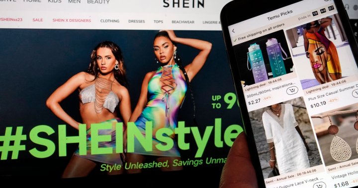 Shein is suing Temu over claims of stolen designs. Whats going on? – National [Video]