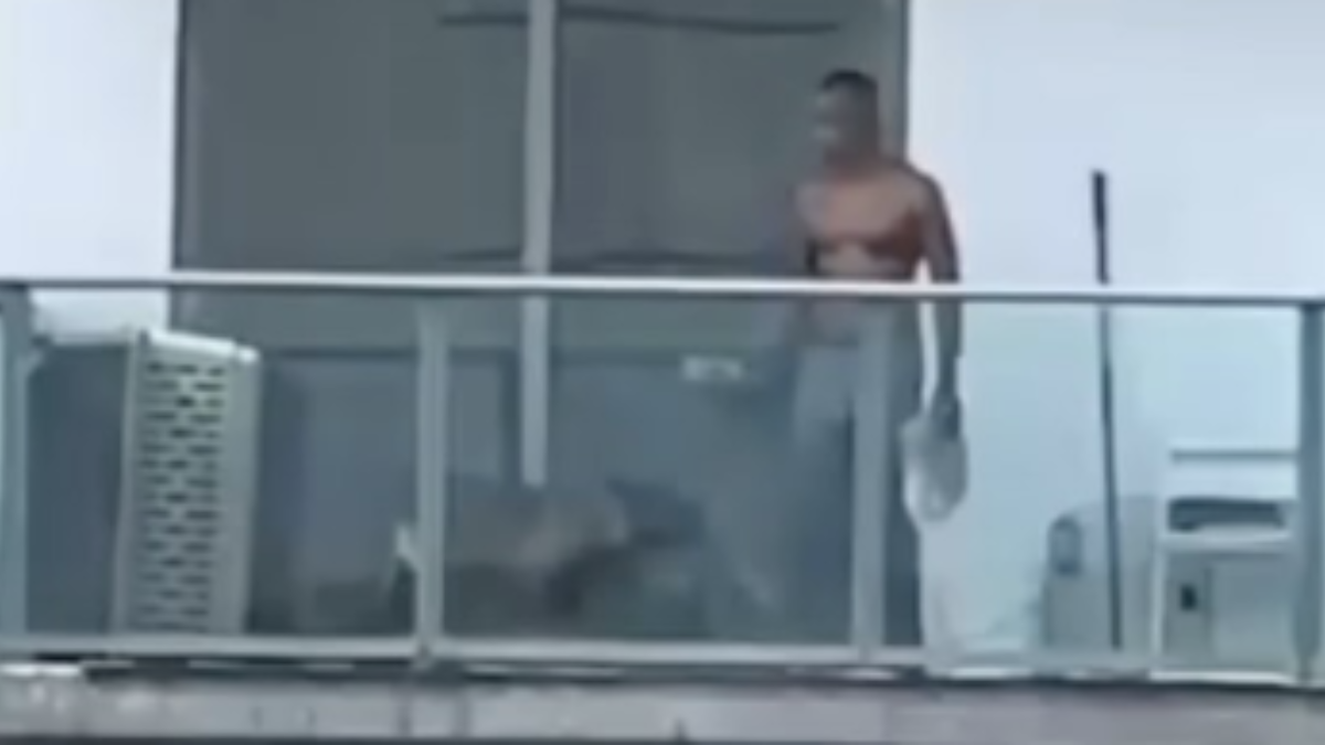 Man abuses dog on Miami balcony: Only in Dade video  NBC 6 South Florida