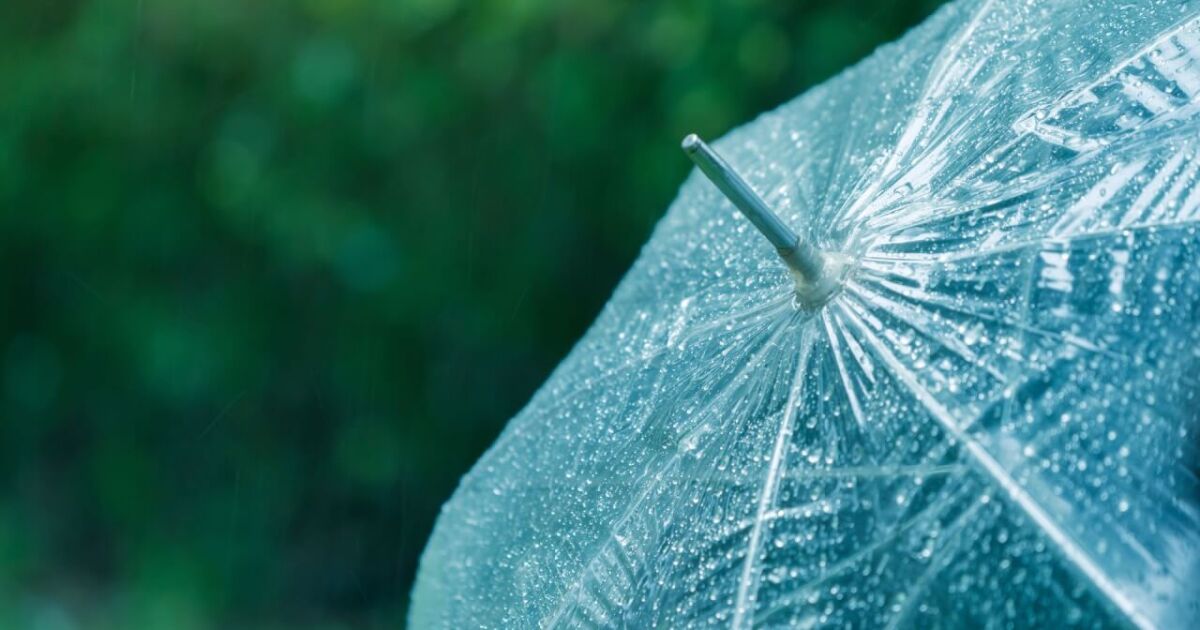 Make a DIY mini greenhouse with clear umbrellas [Video]